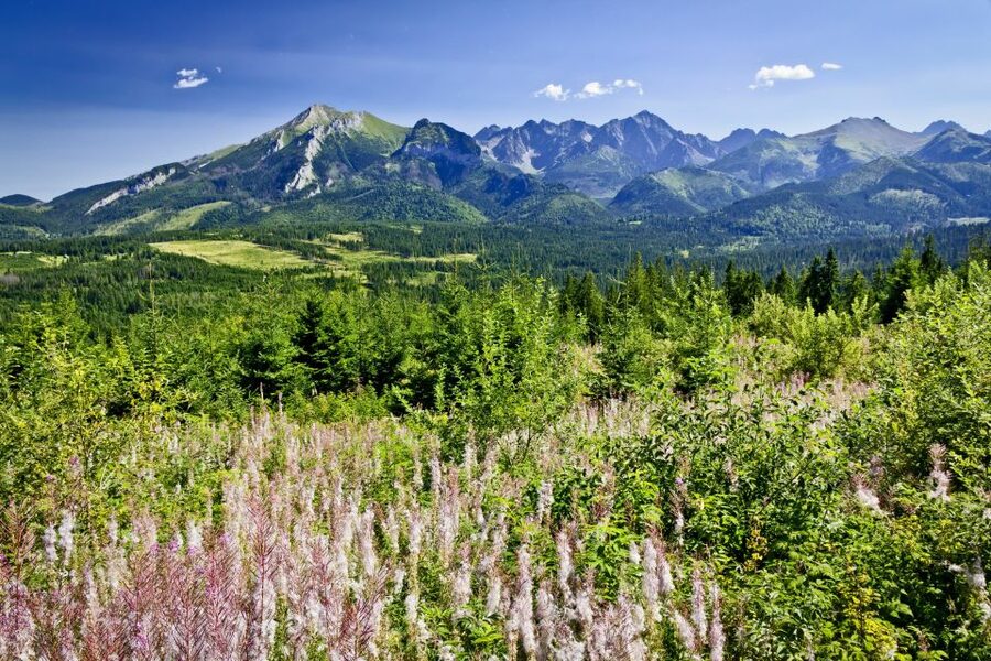 From Krakow: Zakopane Tatra Mountains & Hot Springs Tour - Pickup, Ride Time, and the Pace You Should Expect