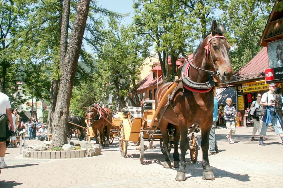 From Krakow: Zakopane & Tatra Mountains Tour - Should you book this Krakow to Zakopane day trip?