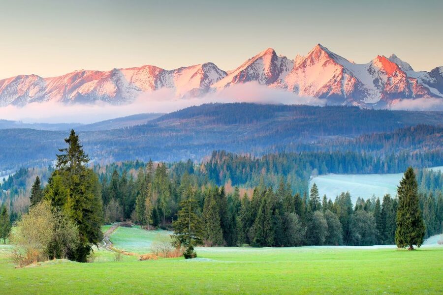 From Krakow: Zakopane & Tatra Mountains Tour - The included highlander cheese tasting, why it’s worth it