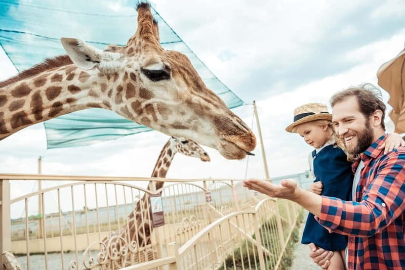 From Krakow: Zoo Trip with Private Luxury Transfer - Private Luxury Transfer from Krakow, What Makes It Worth It