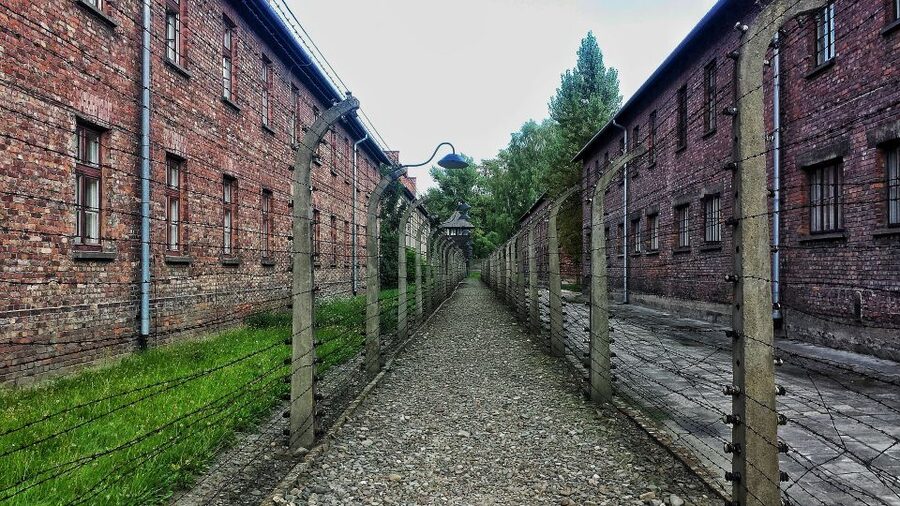 From Warsaw: Auschwitz-Birkenau Guided Tour with Fast Train - Key things to know before you go