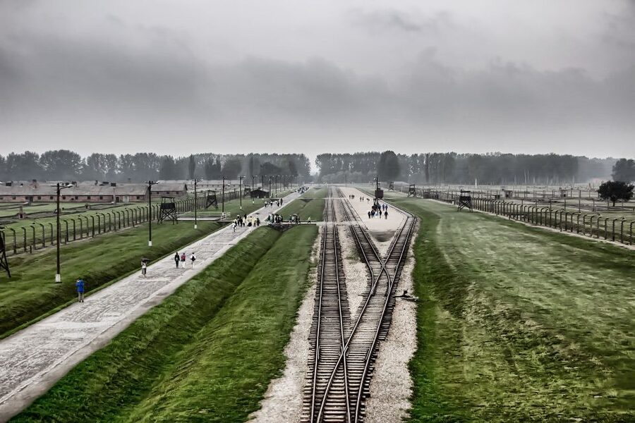 From Warsaw: Auschwitz-Birkenau Guided Tour with Fast Train - Why this Auschwitz-Birkenau day trip from Warsaw works