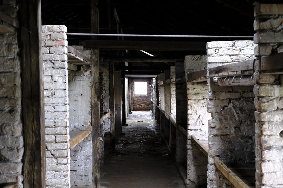 From Warsaw: Auschwitz-Birkenau Guided Tour with Fast Train - Headsets, language options, and pacing that can feel fast