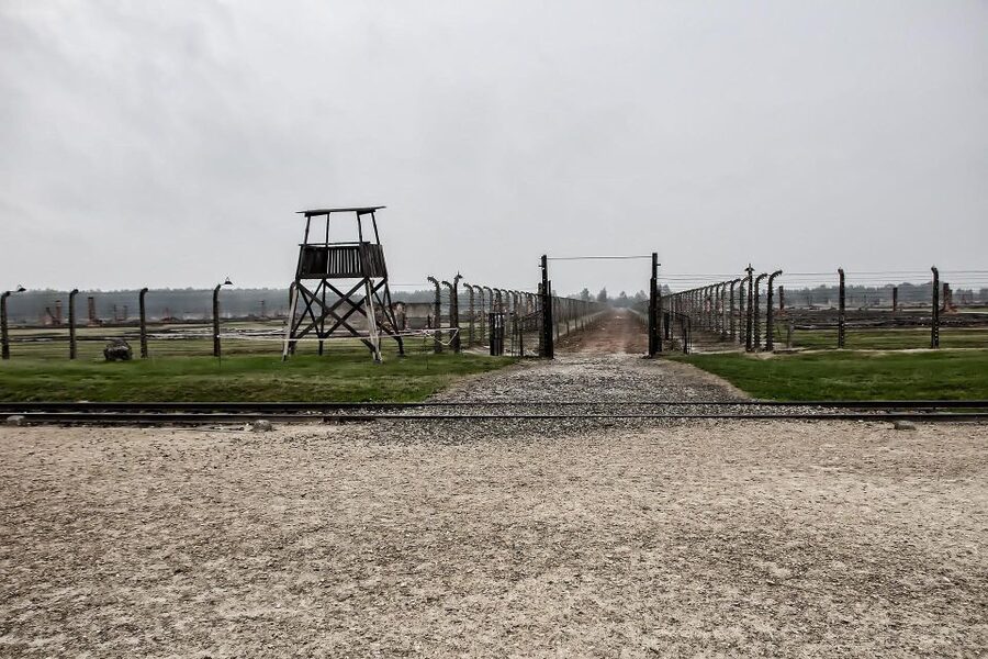 From Warsaw: Auschwitz-Birkenau Guided Tour with Fast Train - Getting to Krakow fast, then sliding into the van ride