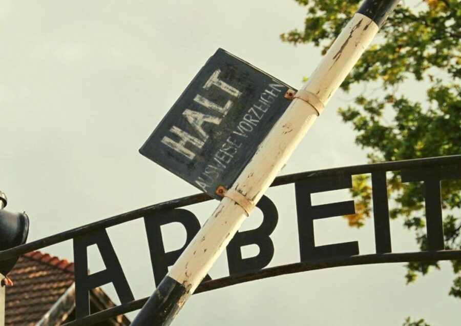 From Warsaw: Auschwitz-Birkenau Small Group Tour with Lunch - Key Things I’d Focus On Before You Go