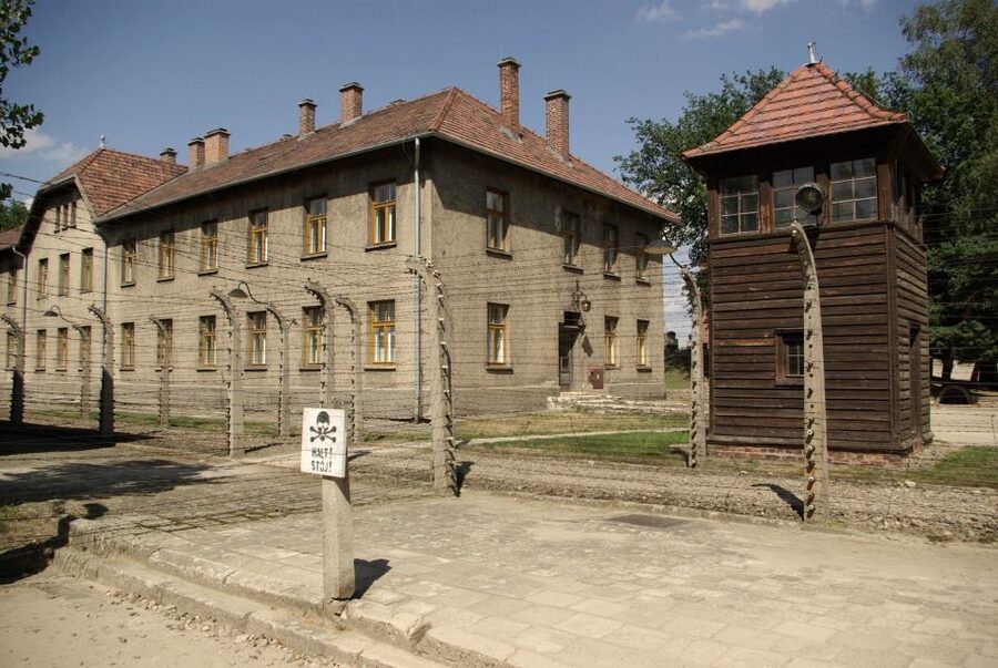 From Warsaw: Auschwitz-Birkenau Small Group Tour with Lunch - Practical Tips That Actually Help You Enjoy This Day