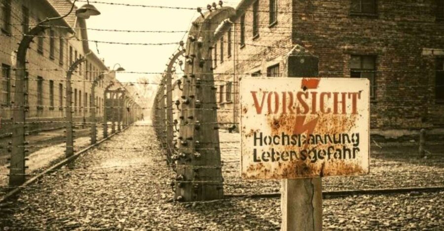 From Warsaw: Auschwitz-Birkenau Small Group Tour with Lunch - Getting On Board: Warsaw Marriott Pickup and Small-Group Comfort