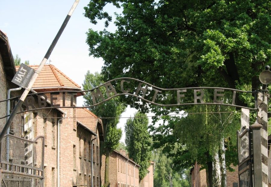 From Warsaw: Auschwitz-Birkenau Small Group Tour with Lunch - Your Auschwitz-Birkenau Guided Tour: What the 3.5 Hours Actually Does