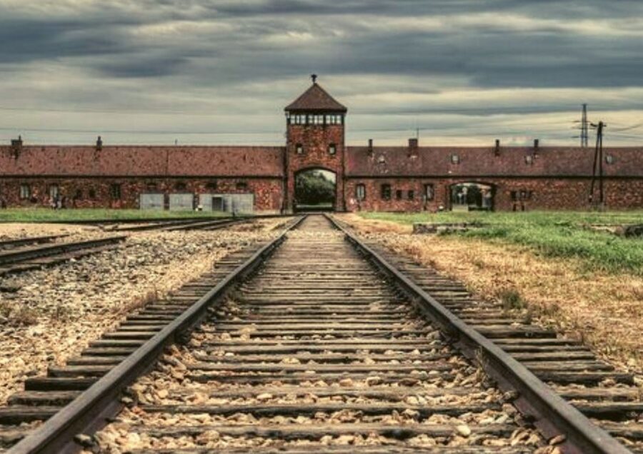 From Warsaw: Auschwitz-Birkenau Small Group Tour with Lunch - Arbeit Macht Frei, Railway Ramps, and Watchtowers: Seeing It in the Real Places