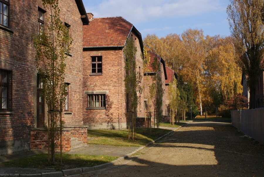 From Warsaw: Auschwitz-Birkenau Small Group Tour with Lunch - Lunch at a Local Restaurant: What You Get and How to Time It