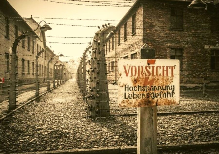 From Warsaw: Auschwitz-Birkenau Small Group Tour with Lunch - The 12-Hour Reality: Driving Time Is Part of the Experience