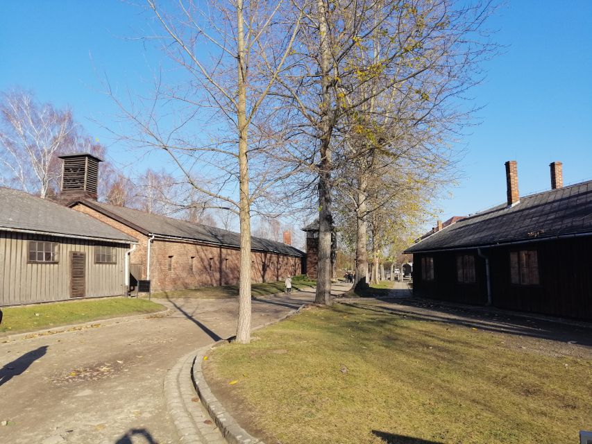 From Warsaw: Auschwitz-Birkenau Tour by Car - Birkenau Auschwitz II: the scale hits, especially around Gate of Death
