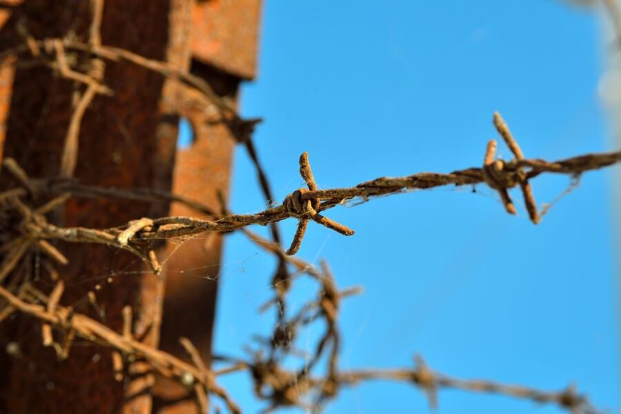 From Warsaw: Auschwitz-Birkenau Tour by Car - The guided group format: small enough to ask, tight enough to keep moving