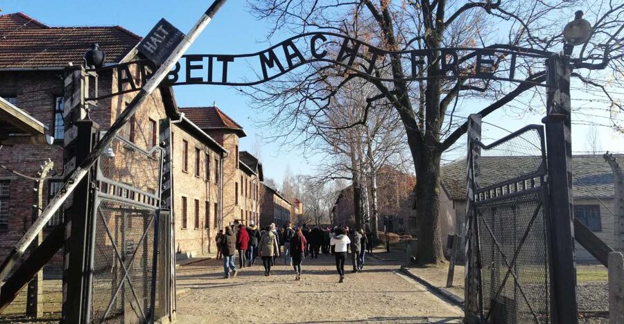 From Warsaw: Auschwitz-Birkenau Tour by Car - Lunch without turning the day into a food quest