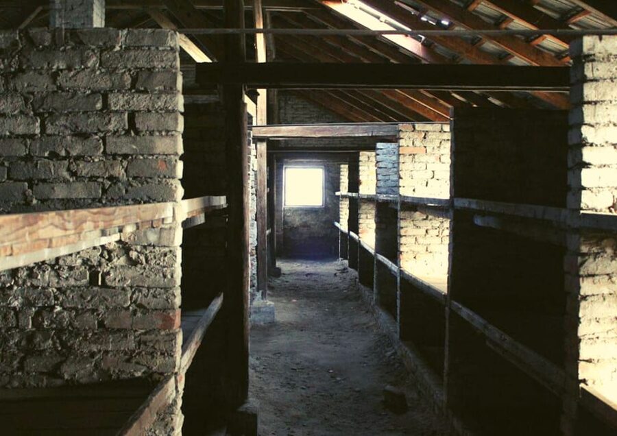 From Warsaw: Auschwitz Day Tour by Private Car with Lunch - Birkenau time: railway ramps, watchtowers, and the scale shock