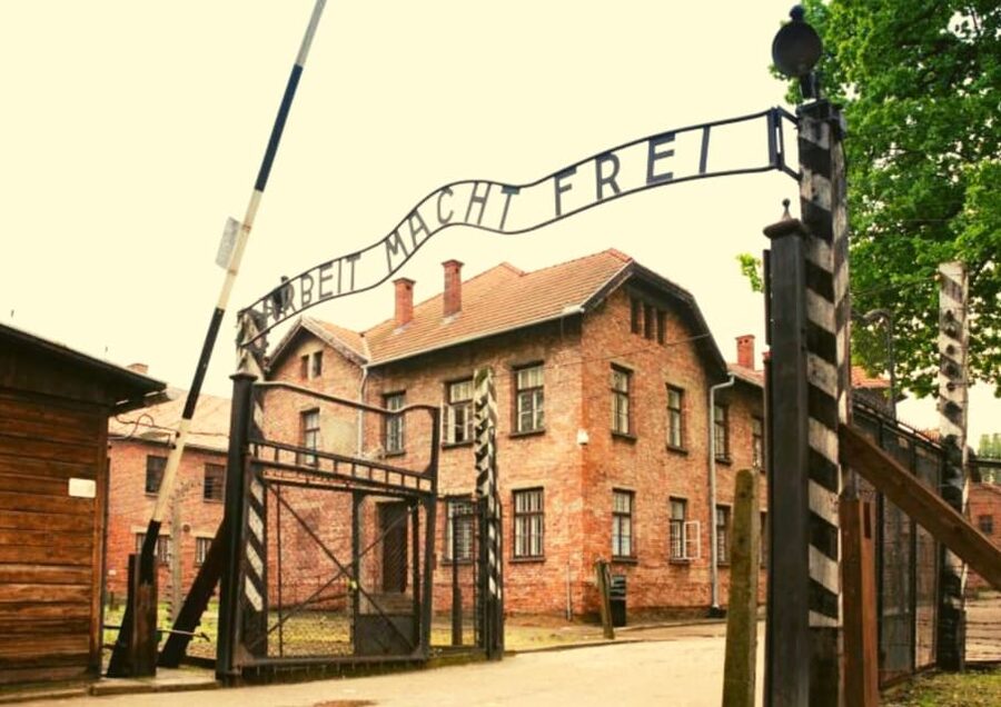 From Warsaw: Auschwitz Day Tour by Private Car with Lunch - Price and value: what $422 per person is buying