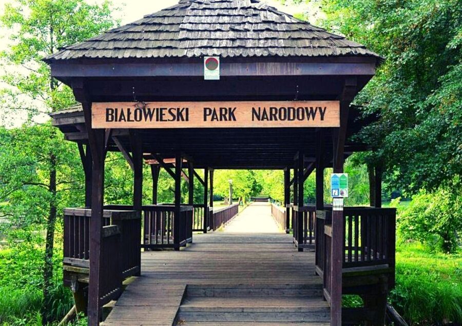 From Warsaw: Small-Group Tour to Bialowieza National Park - Key highlights that matter