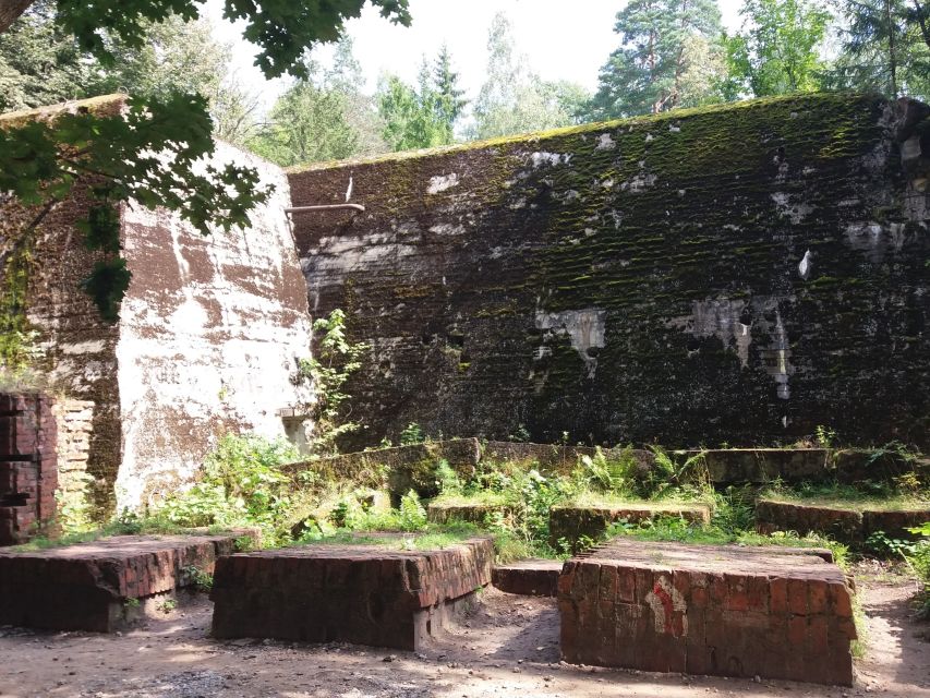 From Warsaw: Tour of the Wolf's Lair, Hitler's HQ by Car - Should you book the Warsaw to Wolf’s Lair by car tour?