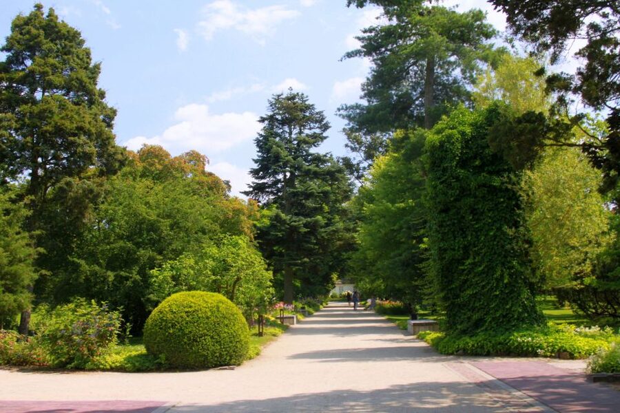 From Warsaw: Tour to Chopin's Birthplace - Żelazowa Wola - FAQ