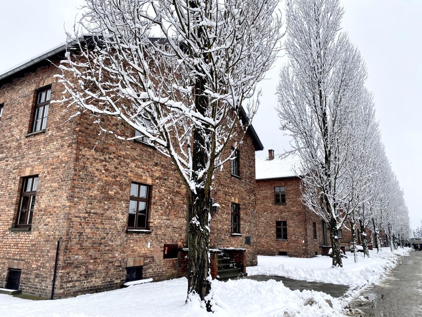 From Wrocław: Full-Day Auschwitz-Birkenau Guided Tour - Wrocław to Auschwitz and Birkenau in One Day: The Real-World Value