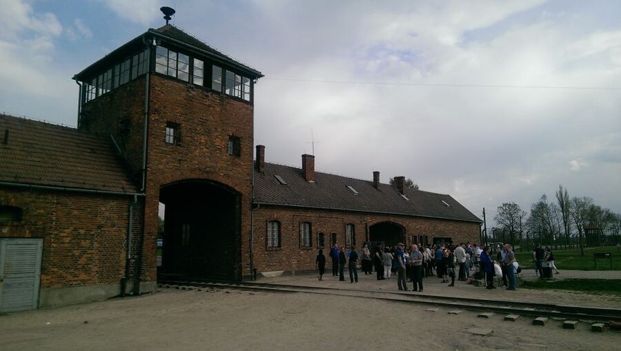 From Wrocław: Full-Day Auschwitz-Birkenau Guided Tour - Hotel Pickup, Minibus Ride, and How the Day Typically Flows