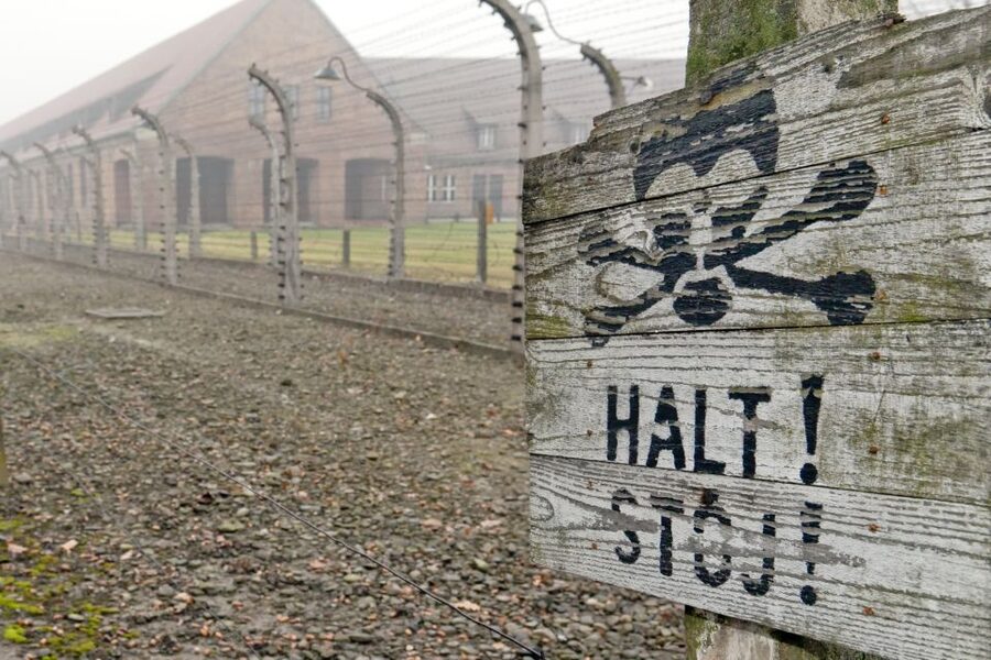 From Wrocław: Full-Day Auschwitz-Birkenau Guided Tour - The Guide Experience: English Interpretation and Stress-Free Coordination