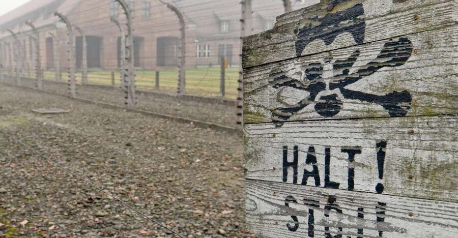 From Wrocław: Full-Day Auschwitz-Birkenau Guided Tour - Auschwitz I: Where Exhibitions, Prisoner Life, and the Gas Chambers Meet