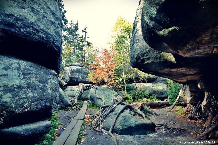 From Wroclaw: Full-Day Stolowe Mountains Trekking Tour - Why Szczeliniec Wielki feels like a real change of pace from normal day trips