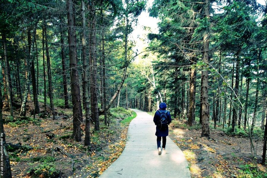 From Wroclaw: Full-Day Stolowe Mountains Trekking Tour - Descending after the views: keeping your feet happy