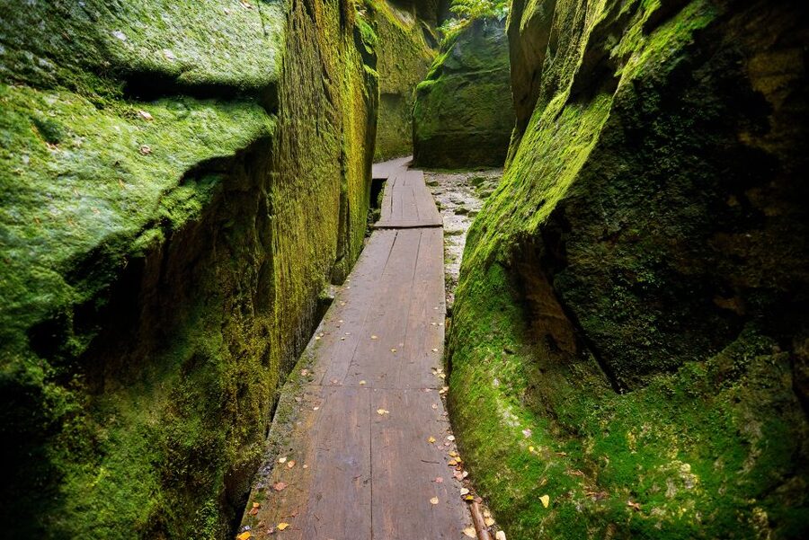 From Wroclaw: Hiking Trail in Rock City Adrspach - Comfort, shoes, and weather: the small stuff that changes everything