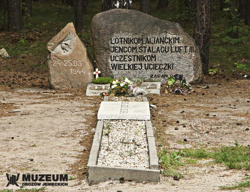 From Wrocław: Stalag Luft 3 Great Escape Tour - Practical Tips for a Smooth 8 Hours