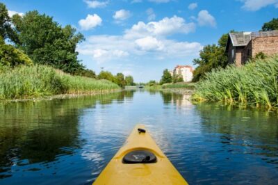 Guided Kayak Tour