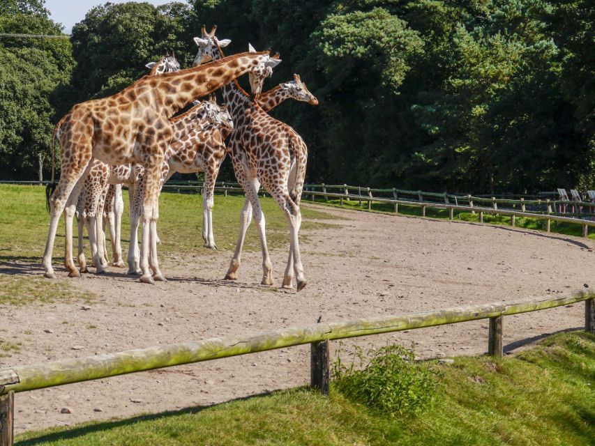 Gdansk: Oliwa Zoo with Tickets and Roundtrip Transportation - Skip-the-Line Tickets: The 2-Hour Advantage You Can Feel