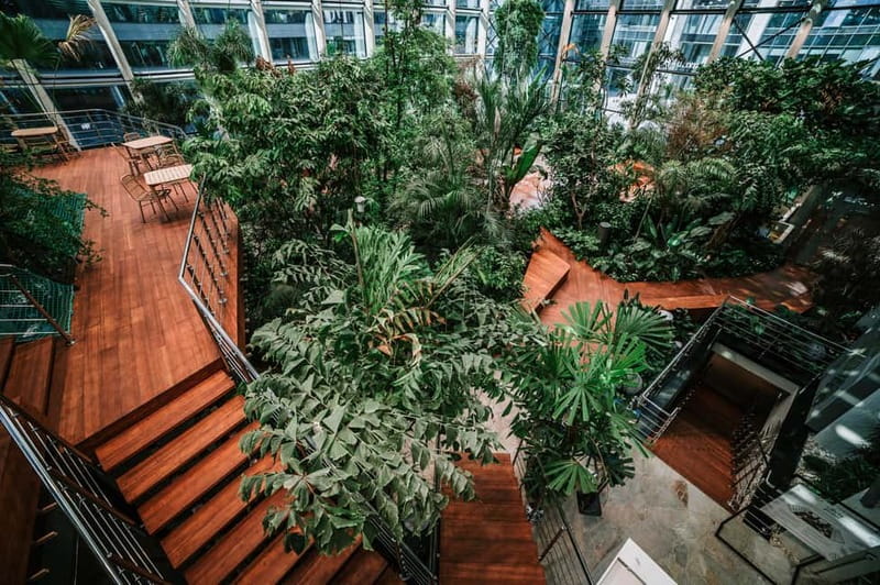 Gdańsk: Sky-High Views & Cocktail - Olivia Star Top Floor - Rules that help your experience go smoothly (drones, pets, and plant safety)