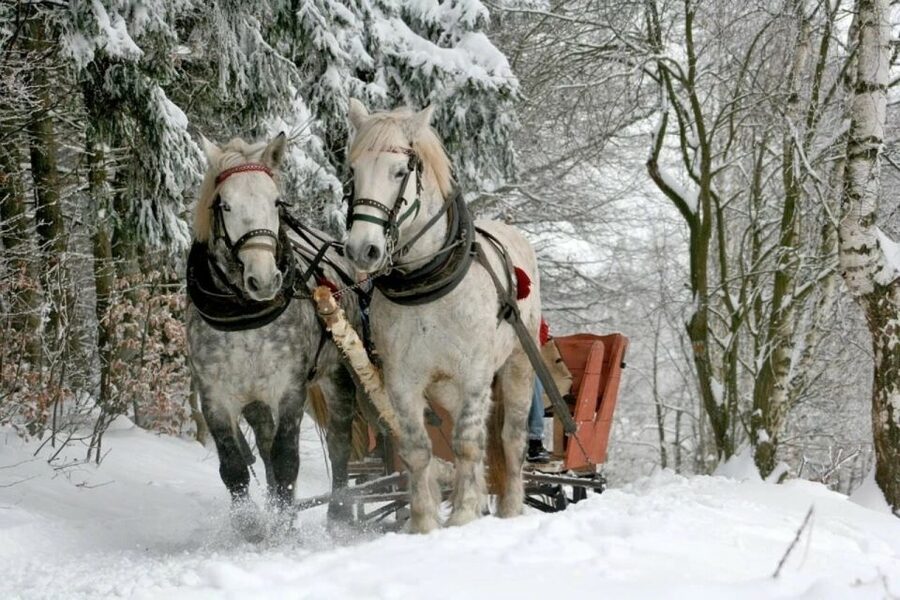 Horse Sleigh 2-3h Ride with Hot Springs or Zakopane Combos - Should you book this sleigh plus thermal or Zakopane combo?