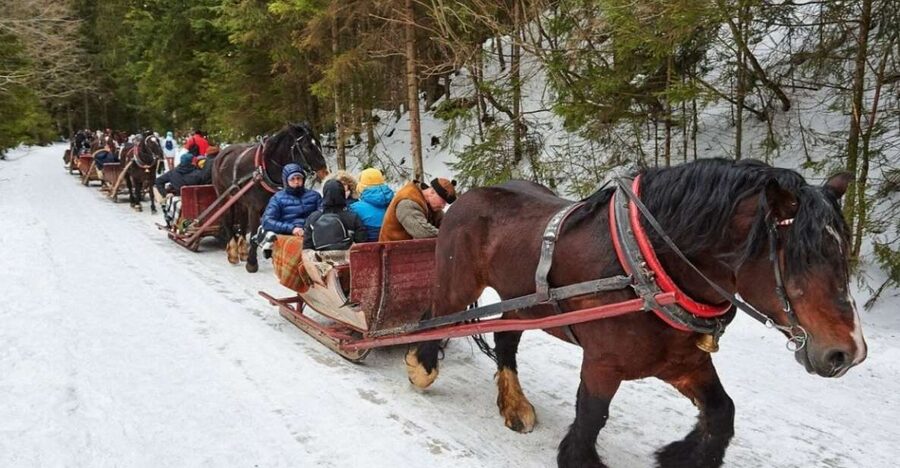 Horse Sleigh 2-3h Ride with Hot Springs or Zakopane Combos - Zakopane in winter, plus the warmth of Chocholowa