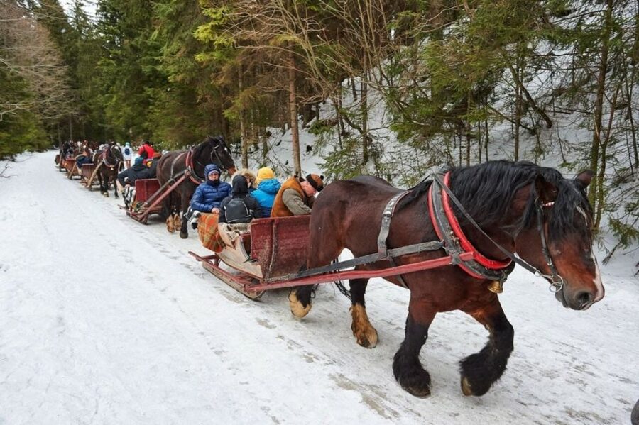 Horse Sleigh 2-3h Ride with Hot Springs or Zakopane Combos - Gubalowka funicular and the Tatra panorama you came for