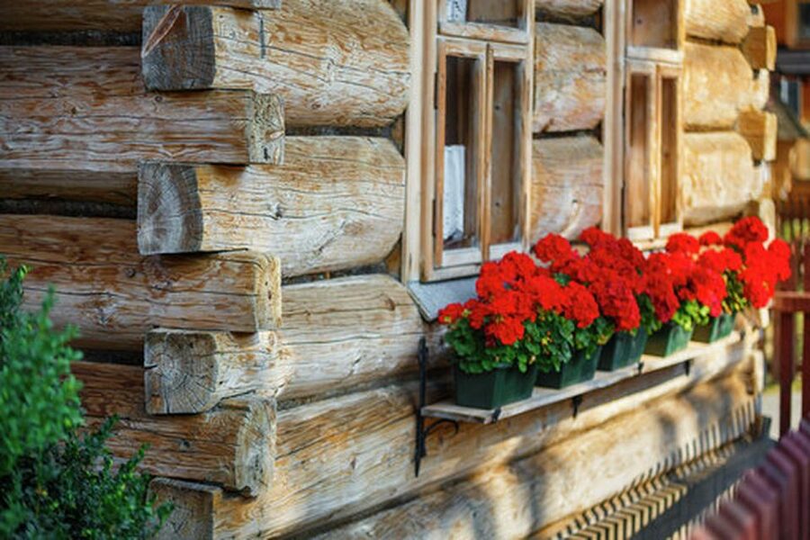 Horse Sleigh 2-3h Ride with Hot Springs or Zakopane Combos - Price and logistics: what $223 buys you in real terms