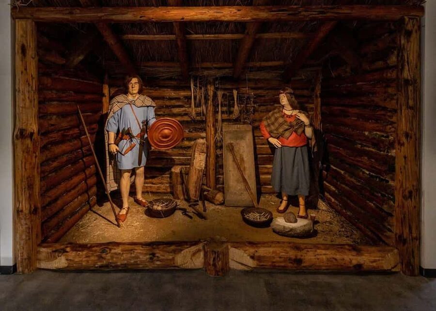 Krakow: Archaeological Museum Entry Ticket - What to expect from a self-guided museum day (no guided tour)