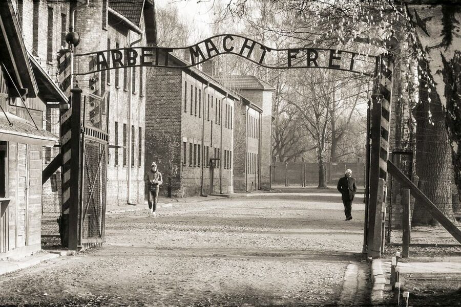 Krakow: Auschwitz-Birkenau and Salt Mine Guided Tour - The mid-afternoon stretch: free time that helps you reset
