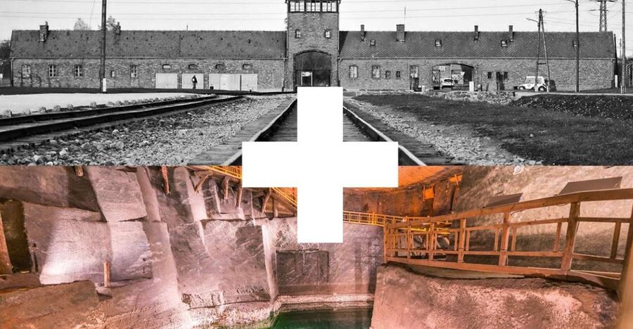 Krakow: Auschwitz-Birkenau and Salt Mine Guided Tour - Wieliczka Salt Mine: what the guide adds underground