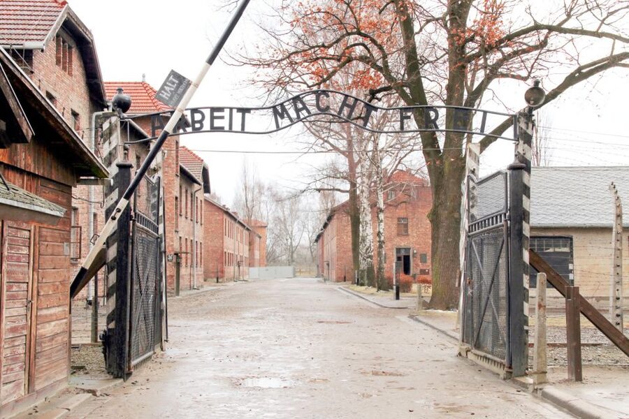 Krakow: Auschwitz-Birkenau and Salt Mine Guided Tour - Lunch, snacks, and the practical reality of a day that runs long