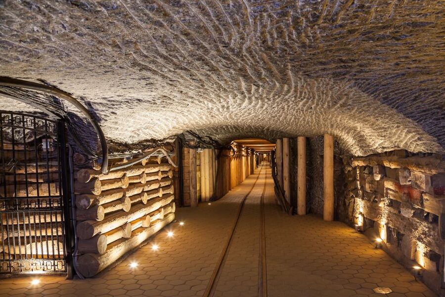 Krakow: Auschwitz-Birkenau and Salt Mine Guided Tour - Getting from Krakow: bus comfort, early timing, and group flow