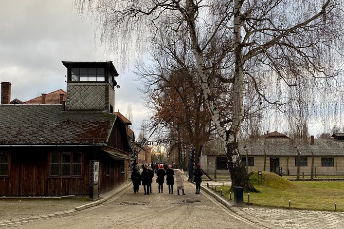 Krakow: Auschwitz-Birkenau Guided Tour & Hotel Pick Up - The Museum English Guide: What You Gain From a Set Plan