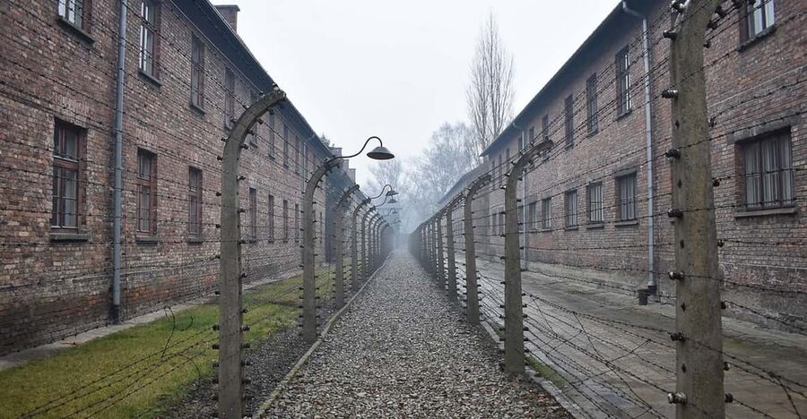 Krakow: Auschwitz-Birkenau Guided Tour or Self-Guided Tour - Who This Tour Fits Best (And Who Might Want a Different Plan)