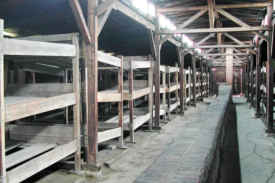Krakow: Auschwitz-Birkenau Guided Tour or Self-Guided Tour - The Short Coach Transfer: A Breather You Should Actually Use