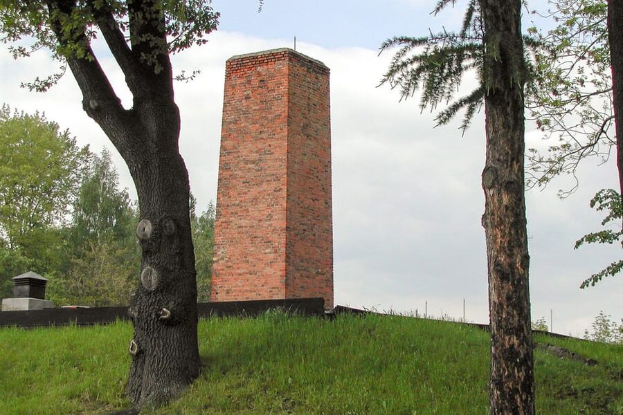 Krakow: Auschwitz-Birkenau Guided Tour or Self-Guided Tour - Timing, Queues, and Last-Minute Changes You Should Plan For