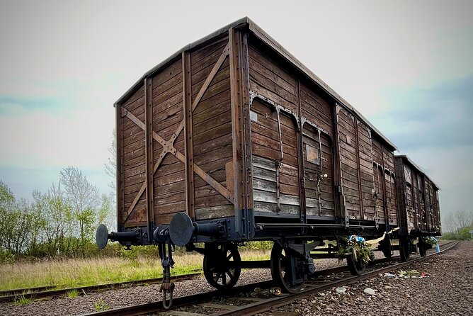 Krakow: Auschwitz - Birkenau Guided Tour with Private Transport - The guide and driver dynamic: what actually helps you have a better day