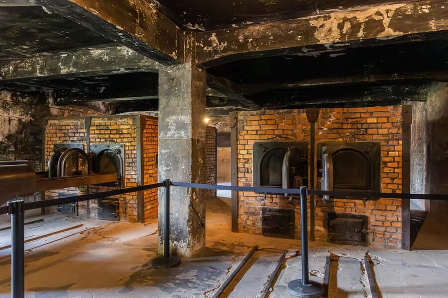 Krakow: Auschwitz-Birkenau Guided Tour with Transportation - Price and value: what about $20 really buys you here