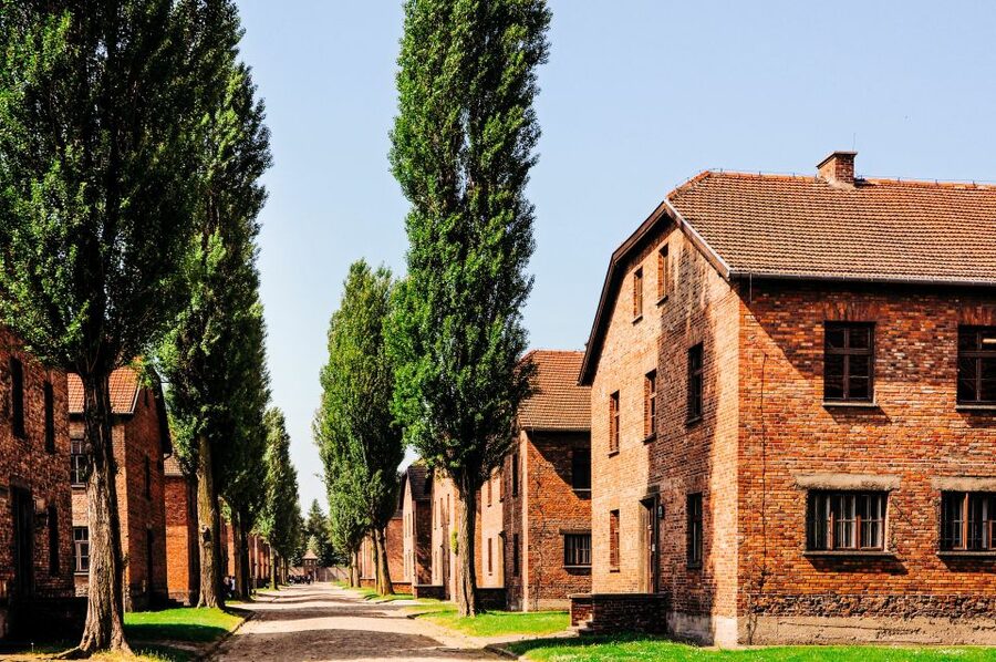 Krakow: Auschwitz-Birkenau Live Guided Tour & Hotel Pickup - Timing, Pace, and What to Pack So You Are Not Rushing